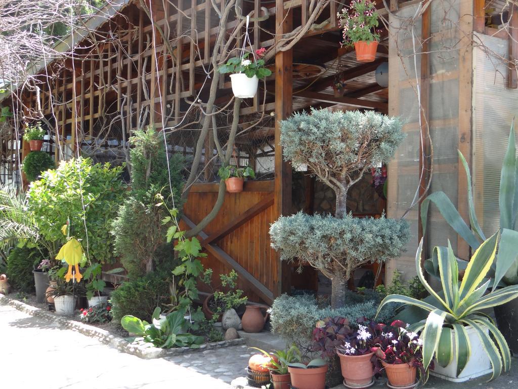 Guest House Rusalka Byala (Varna) Exterior foto