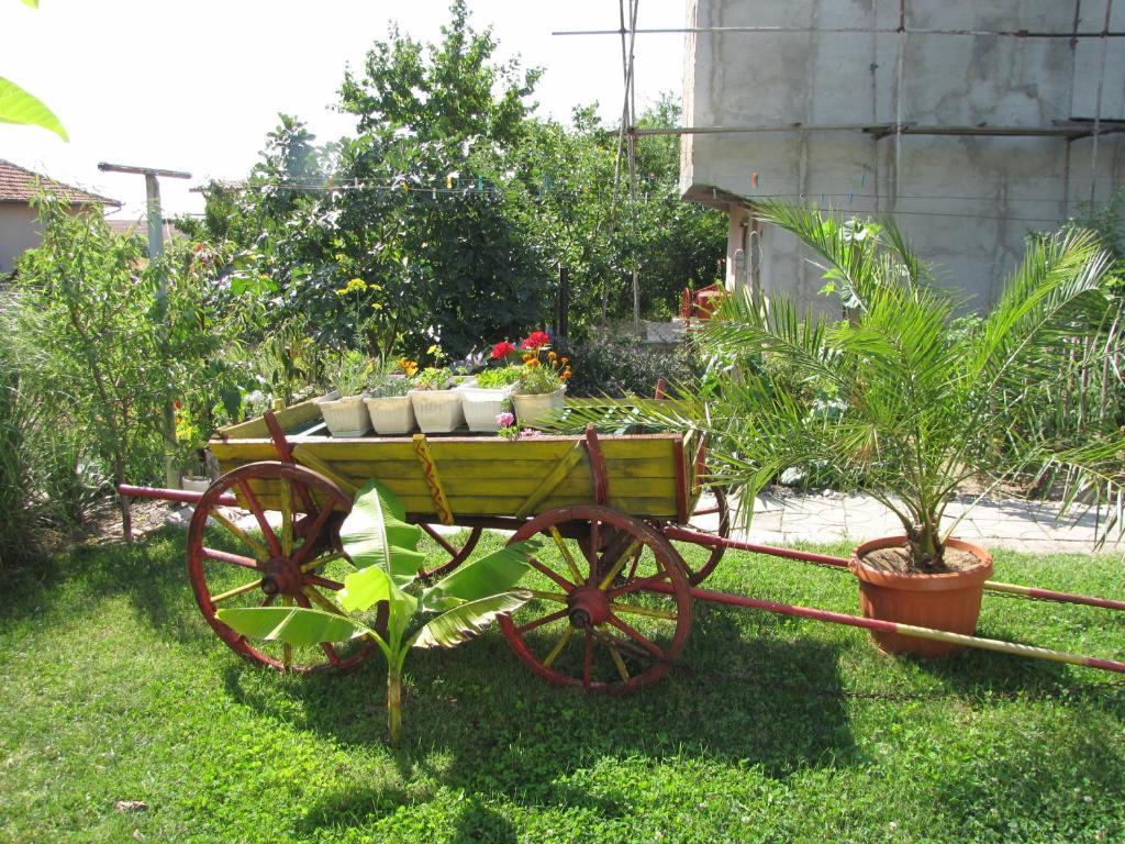 Guest House Rusalka Byala (Varna) Exterior foto